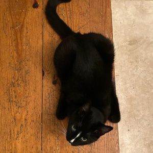 Meet your Posher, Blake